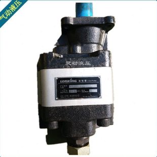 2100Y8HW 压力21Map 柱塞泵 质保一年 龙工齿轮泵 油泵 CBFX