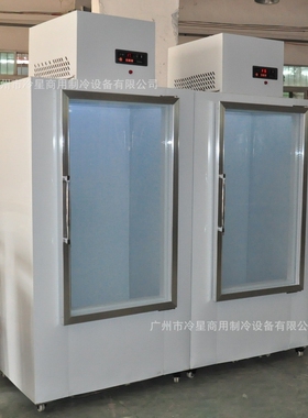 冰块储存冷柜冰棍直冷冷冻柜风冷冰箱110V60HZ方冰保温展示冷冻柜