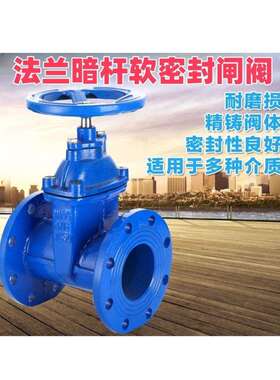 暗杆弹性座封闸阀 阀门 手动 自来水法兰闸阀Z45X DN65 80 100