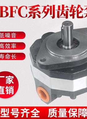 高压液压油泵CBFC转向齿轮油泵CB-FC10/12/16/20/25/32/40/50/63