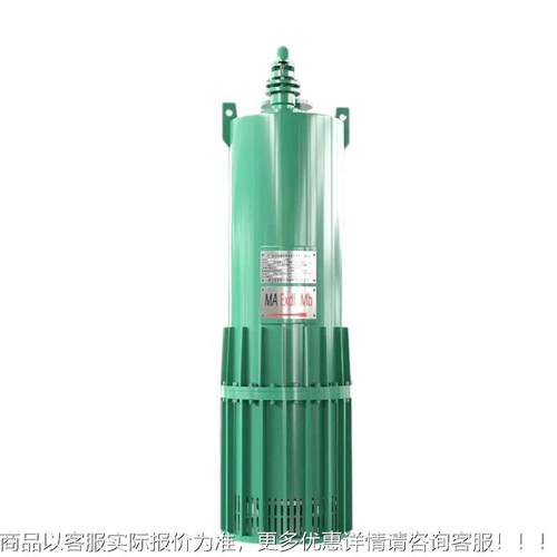 沙安装方便变频潜水排587沙电型泵 BQS100-矿35-18.5/N用隔爆排泵