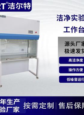 无尘车间实验室安全耐用双人单面水平流自净式钢板烤漆洁净工作台