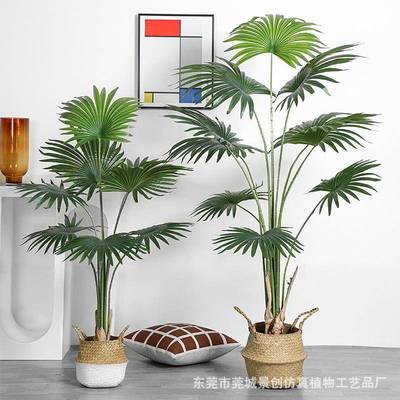 热带仿真植物加州蒲葵盆栽室内落地圆叶扇葵假树绿植室内唐棕葵