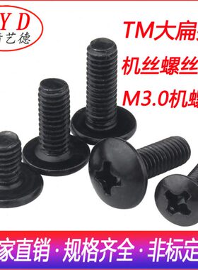 厂家 M3.0十字槽T形头机螺钉黑色 大扁头机丝螺丝 TM螺丝钉