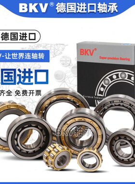 德国BKV进口圆柱滚子轴承N203 204 205 206 207 208 209 210M