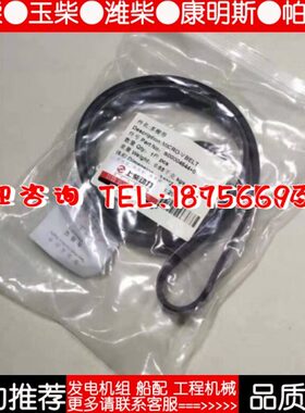 300千瓦KW上柴股份SC12E460D2 柴油发电机组 S00004644 风扇皮带