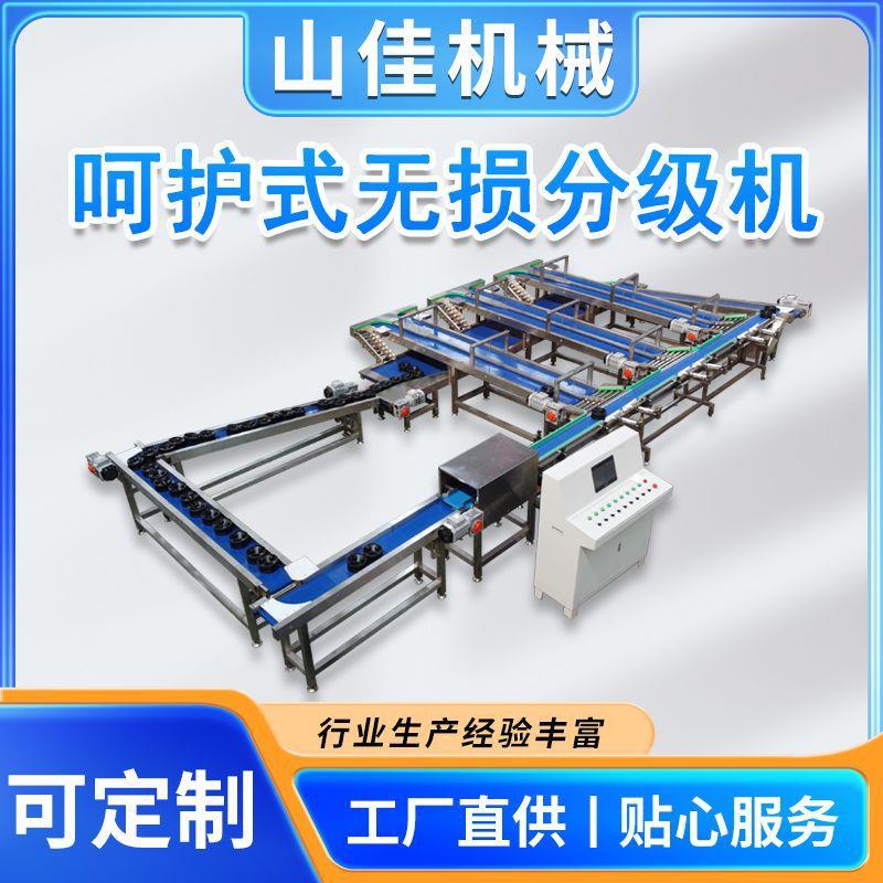 蛇果自动称重分拣秤 巴西蜜瓜无损选果机 酥梨石榴重量分选流水线