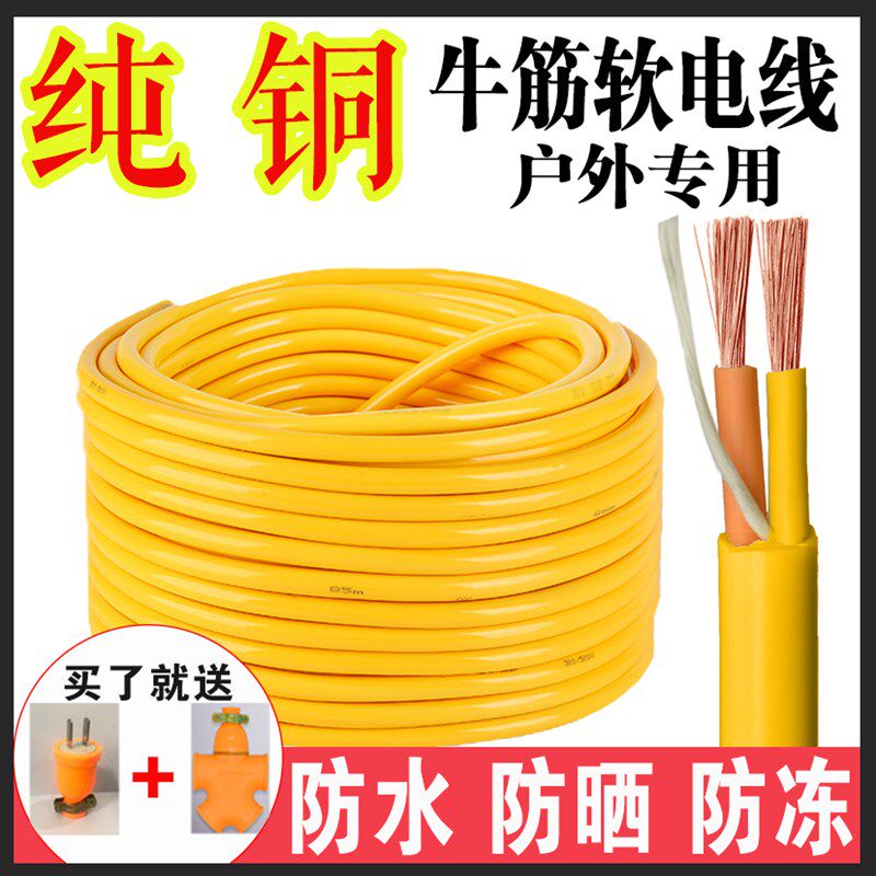 户外纯铜电缆线2芯3芯家用电线2.5 1.5平方4护套线插Y头电源线延