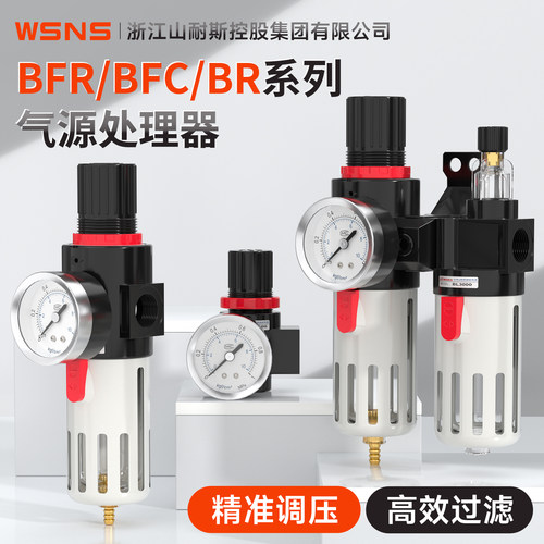 WSNS空压机油水分离器BFC
