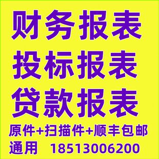 投标审计咨询财务报表年度银行报表Exce制作四表一注表格模板包邮