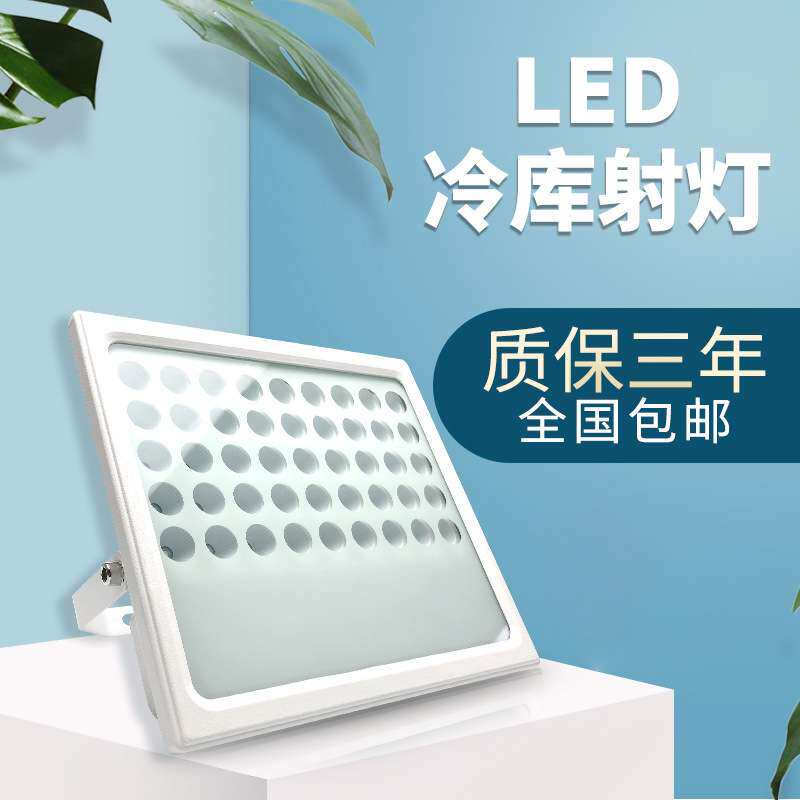LED投光灯50W冷库耐低温室外照明灯探照广告灯超亮投射灯户外