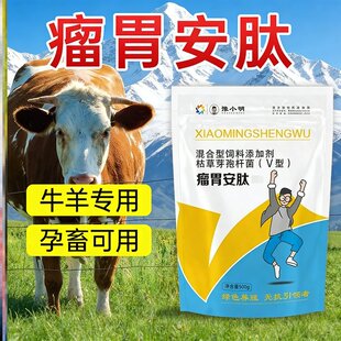 正牌 瘤胃安肽 豫小明瘤胃安肽 多效瘤胃宝牛羊专用