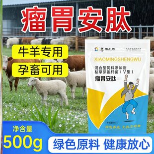 牛羊反刍用瘤胃安肽 养羊用瘤胃安肽 瘤胃宝牛专用