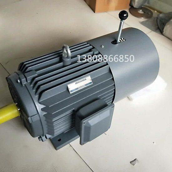 贝得5.5kw塔式吊机专用升降横移抱闸电机132机座4极法兰安装马达,五金/工具,电机配件,淘宝优惠券,粉丝福利购,淘宝优惠卷