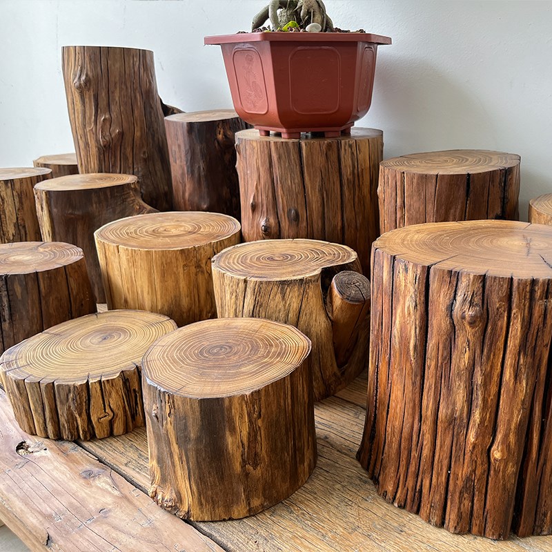 实木墩子原木树桩木墩花架底座侘C寂风木头摆件茶几根雕木桩矮凳