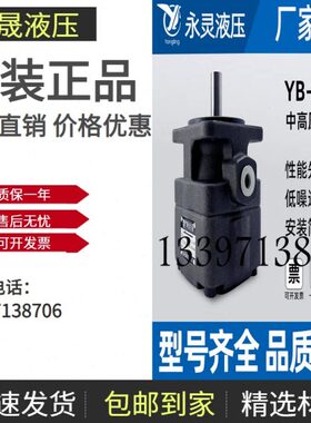 YLC仙居永灵中压油泵YBD-2.5 6 10 16 25 32 40 50 63 80叶片泵