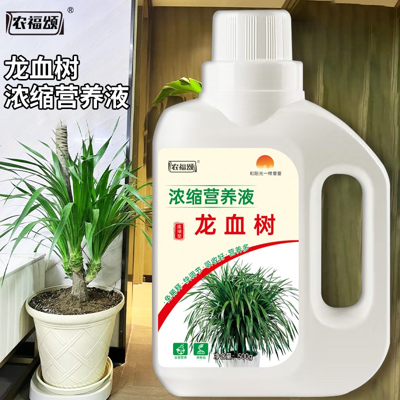 农福颂龙血树专用营养液龙须树治黄叶防烂根液体肥浓缩叶面肥料