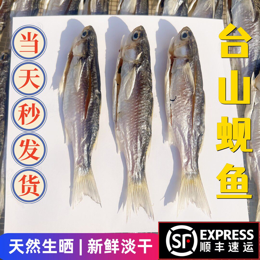 台山横山蚬鱼干 犬鱼干显鱼淡口鲚鱼500g5成干 冷链直达 当季新鲜
