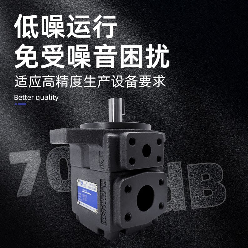 仙居YLC永灵液压泵高性能叶片泵头YB-E25/E16/E32/E40/E50/YBE63