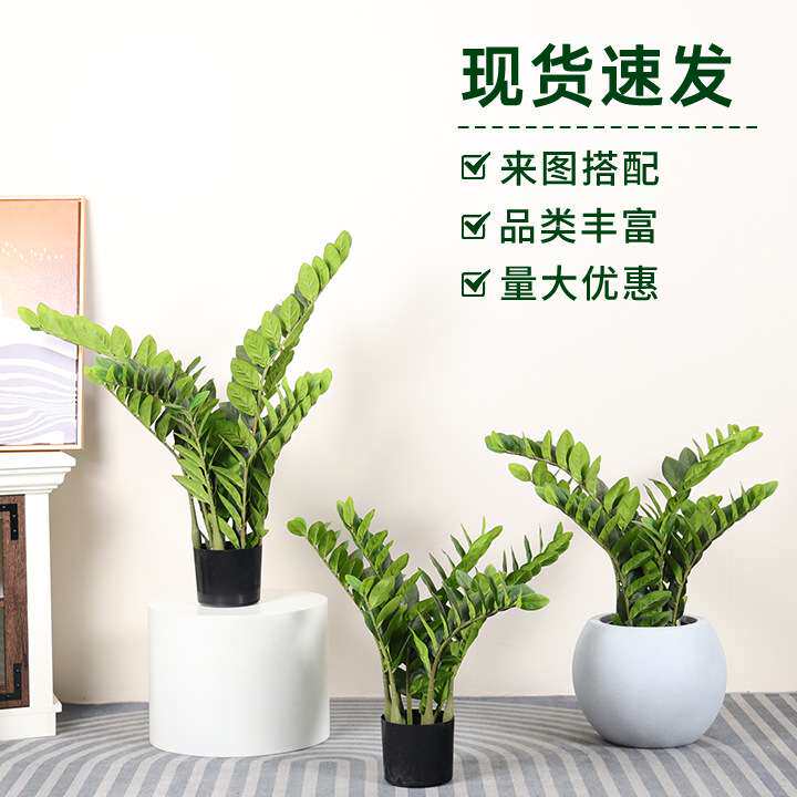 仿真金钱叶盆栽仿真金钱树假树仿真绿植盆景人造室内高端装饰摆件
