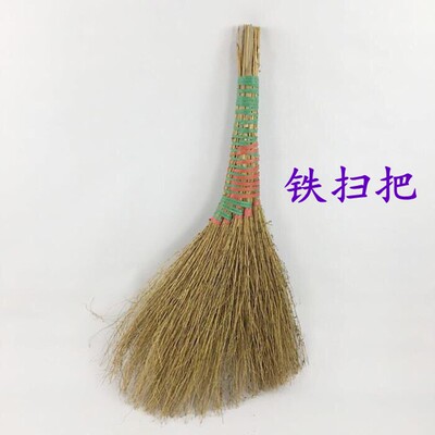 铁扫把地肤草扫帚苗扫把树物业庭院子水泥地面扫地手工笤帚黄长
