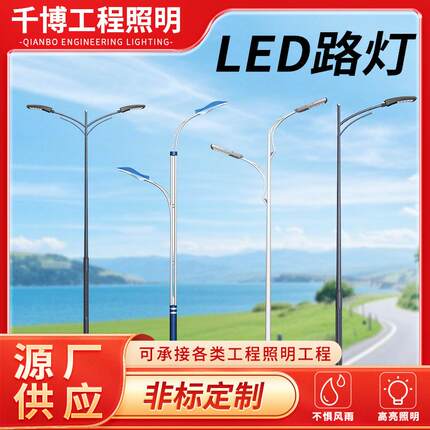 LED路灯路灯杆灯柱新农村道路灯8米10米高亮度LED道路照明灯