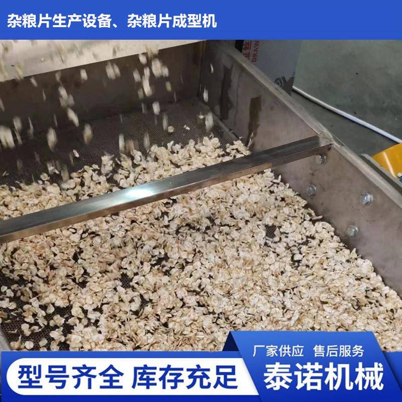 粮食杂粮挤扁机即食早餐豆片米片压片设备
