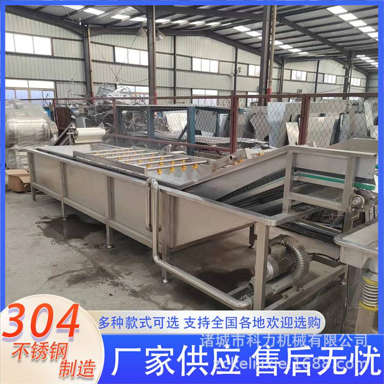 果蔬叶类菜气泡清洗机 多功能葡萄水果清洗机 辣椒喷淋清洗机器