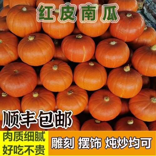 顺丰红南瓜送工具万圣节南瓜灯新鲜红皮南瓜雕刻装饰摆设南瓜山东