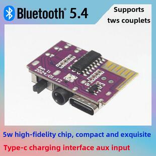 DIY自制音响配件 蓝牙音响主板 单声道 5瓦 支持TWS立体声对联