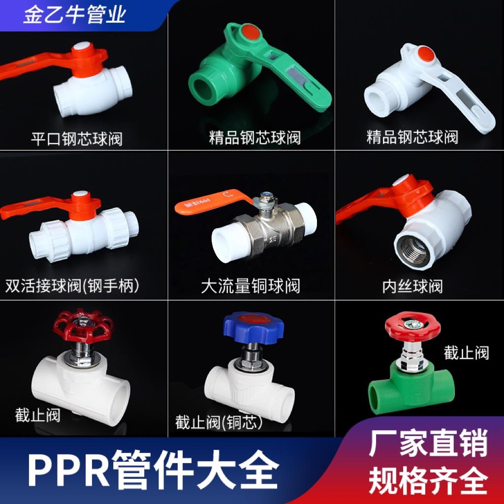 ppr水管配件ppr阀门水管接头截止阀铜球阀阀门全塑球阀门开关闸阀