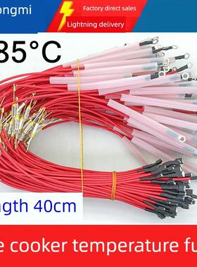 185°C度电饭煲压力锅TF温度保险丝250V10A热熔断器R加长线40厘米