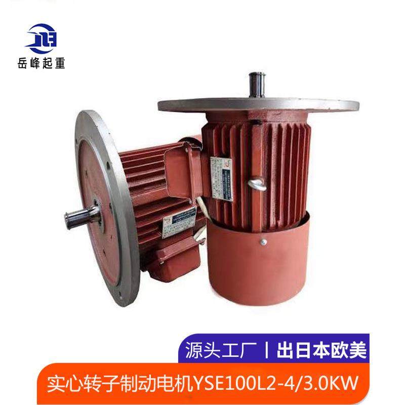 实心转子制动电机YSE100L2-4/3.0W电机厂起重机配件软启动电机