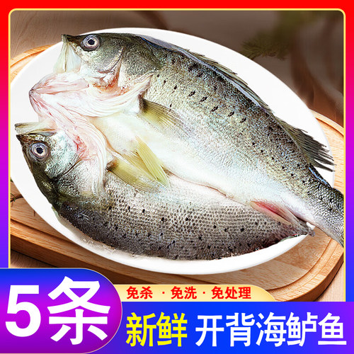 海鲈鱼开背冷冻新鲜海鱼商用批发