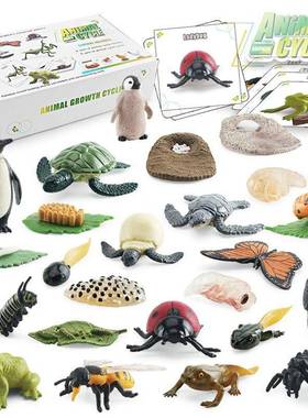 仿真儿童认知动物生长周期模型玩具企鹅乌龟蜜蜂蝴蝶收纳盒
