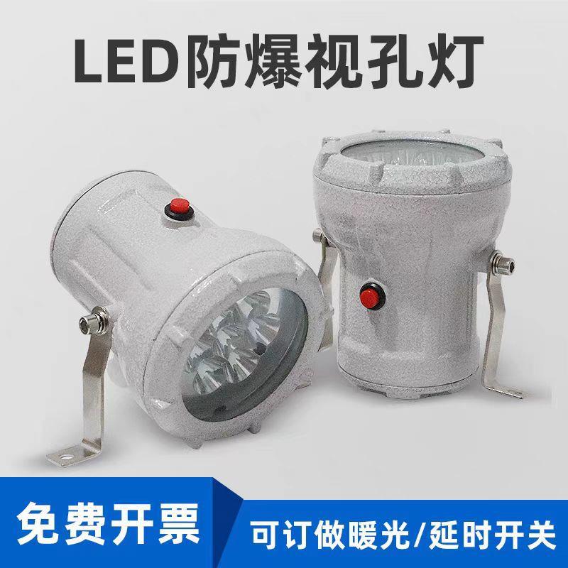 防爆视孔灯LED视孔灯12V24V36V220VBSD96化学容器反应釜视镜吊灯