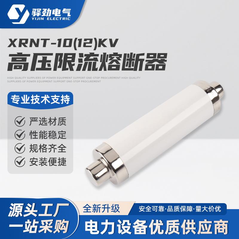 XRNT-10(12)KV50-125A高压限流熔断器保险管高压限流熔断器互感器