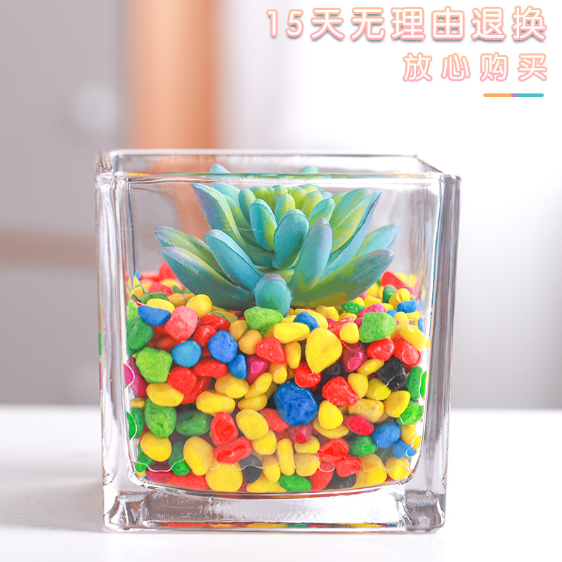 简约加厚正方形玻璃水培桌面绿植透明方缸绿萝Q铜钱草花盆白色花