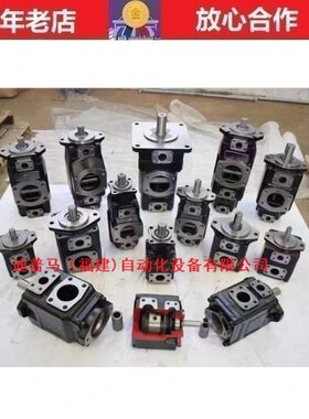 DENISON丹尼逊叶片泵T6E-062-1R01-C1 1R00 1R02 1R03 T6E-066