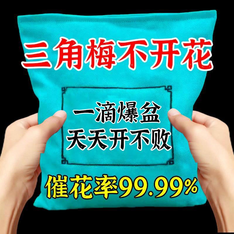 三角梅开花专用肥促芽剂催光杆发芽治黄叶落叶枯萎壮X根助生长肥