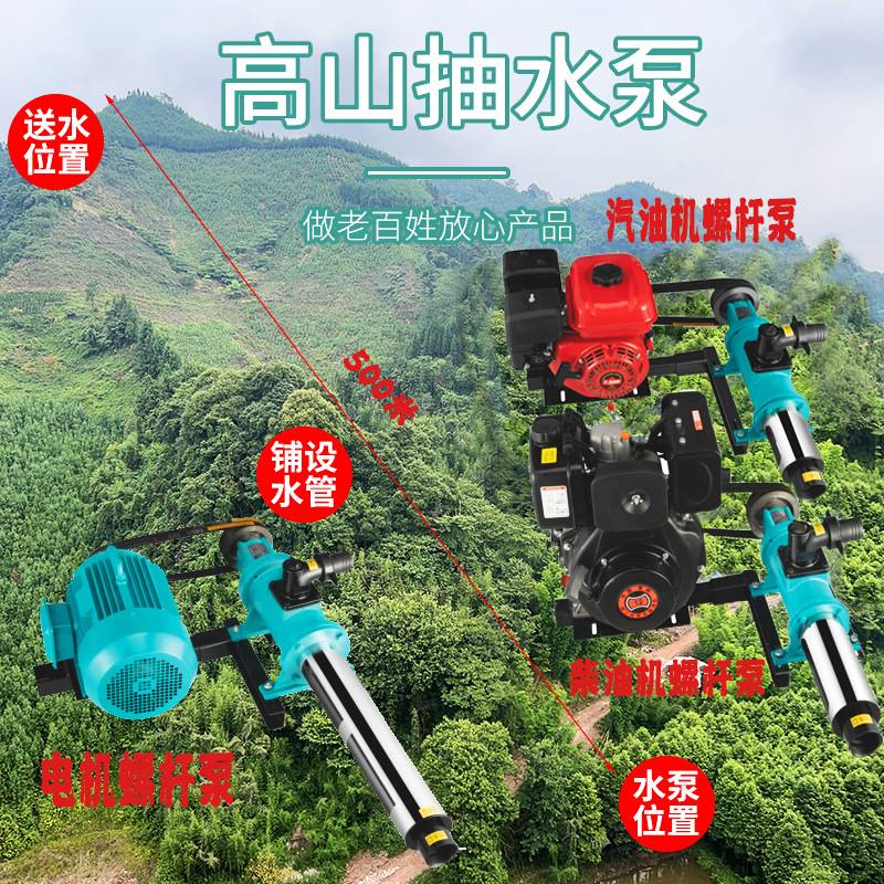 极润高山泵高扬程抽水泵螺杆自吸泵高压泵大流量1/2寸500拖泵头GX