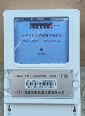青岛鲁晖仪器仪表 三相四线电子表DTS2016型 国网型1级计量电能表