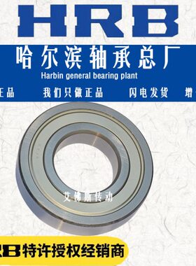 HRB哈尔滨轴承6317 6318 6319 E C3P5哈轴原厂深沟球轴承高速电机