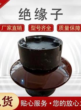 电站用针式支柱绝缘子电解铝厂用电解槽支撑绝缘子ZPD-10ZPD-35