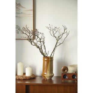 花曌 松萝树枝真树枝枯枝干树枝民宿诧寂风中古风W装饰家居瓶插花