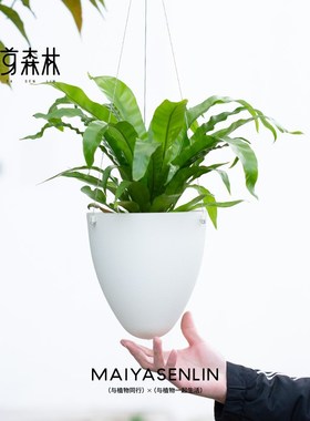 园艺室内阳台庭l院不锈钢绳白色蛋形垂吊树脂懒人磨砂花盆