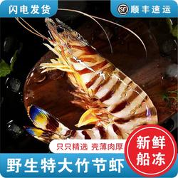 舟山竹节虾超大九节虾活水产速冻海捕斑节虾野生大海虾5-6头/斤