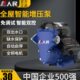人民水泵自吸式 增压泵家用全屋增压自来水太阳能管道加压泵抽水泵