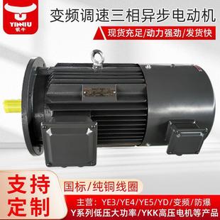 90W变频调速三相异步电机 2极3 衡水电机厂家定制生产YV2 YVP