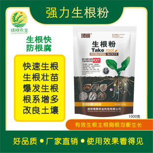 生根粉强力槟榔生根育苗根系增多改良土壤主根侧根均衡生长